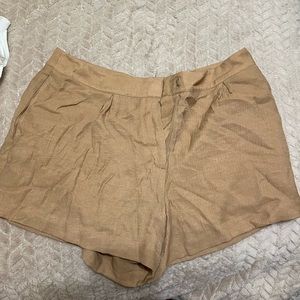 brown nordstroms business casual shorts